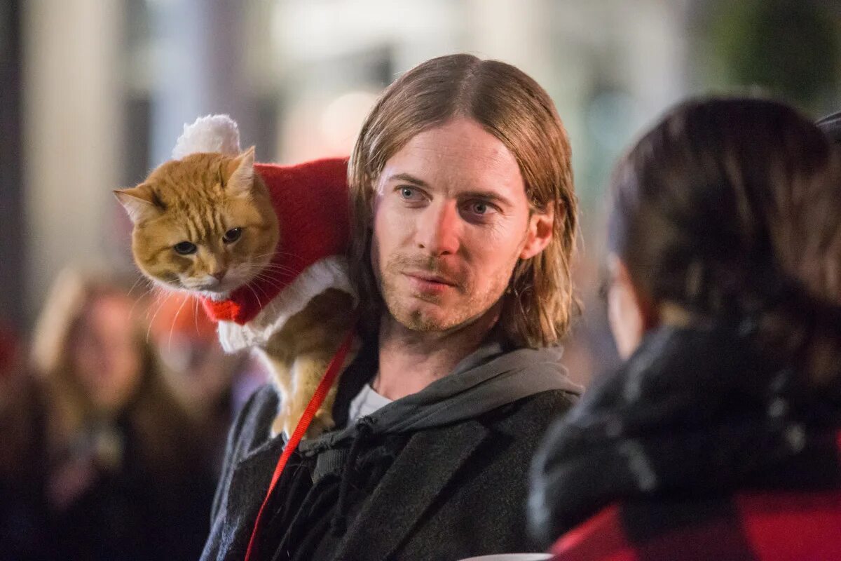 Кот по кличке боб. Кот боб трейлер. Кот боб трейлер. Люк тредэвэй кот боб. Люк тредэвэй кот боб.