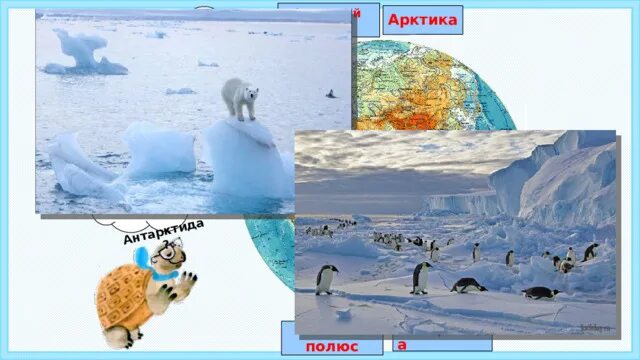 Северный полюс и южный полюс на карте. Северный полюс или арктика. Северный полюс арктика и антарктика. Северный полюс или арктика. Северный полюс или арктика.