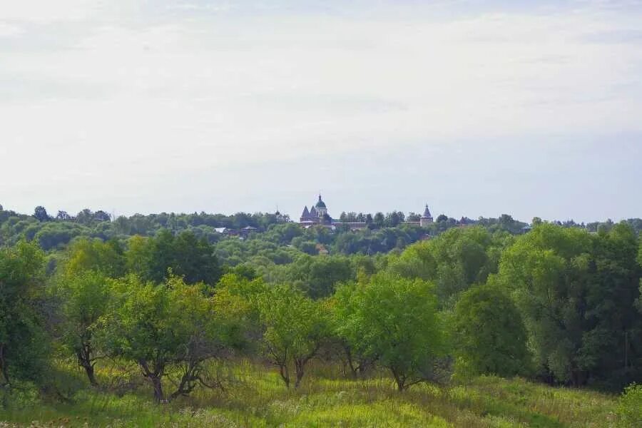 Зарайск даровое достоевский. Сады зарайск. Детский сад красная шапочка зарайск. Сады зарайск. Сады зарайск.