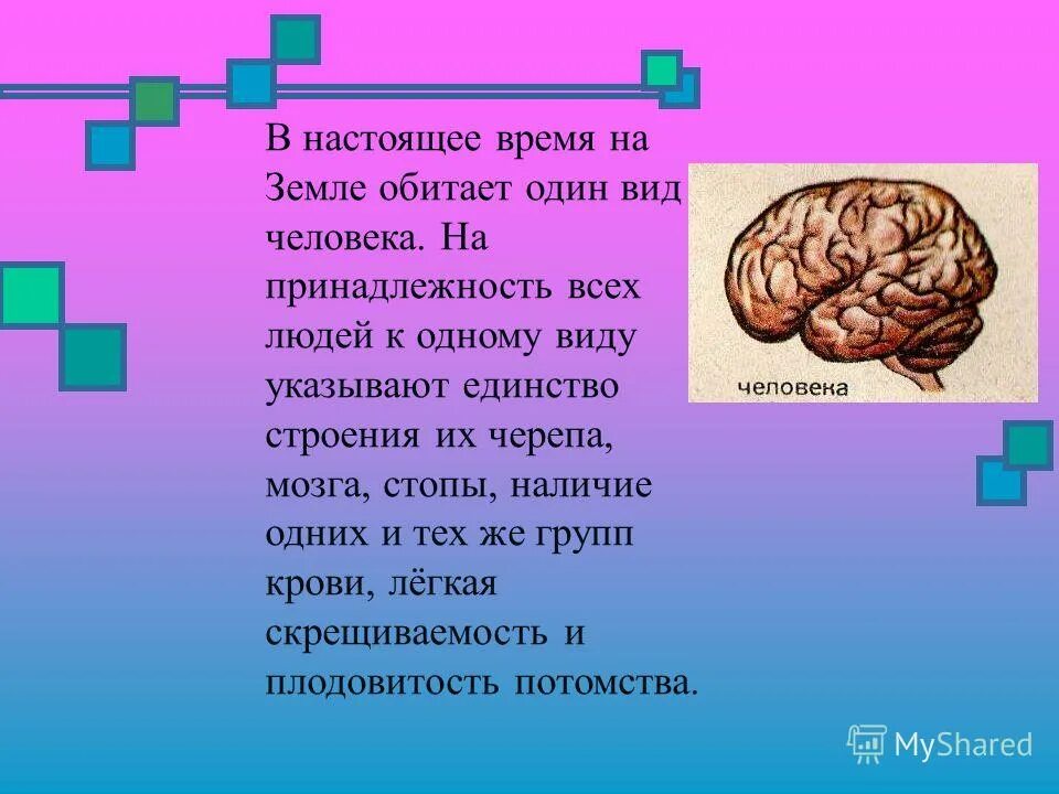 Все расы относятся к одному виду. Доказательство что все расы относятся к одному виду. Почему люди всех рас относятся к одному виду. Почему все расы относятся к одному виду. Доказательства всех рас к одному виду.