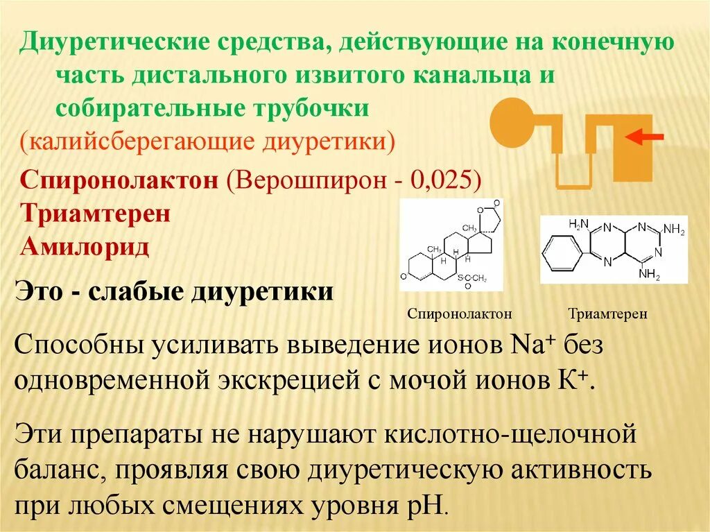 Диуретические средства. Верошпирон петлевой диуретик. Диуретики спиронолактон. Диуретик действующий на дистальные извитые. Диуретики группы препаратов