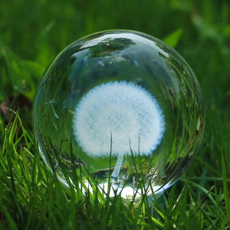 Природа в шаре. Шар стеклянный. Шар в природе. Красивый стеклянный шар. Стеклянные шарики прозрачные.