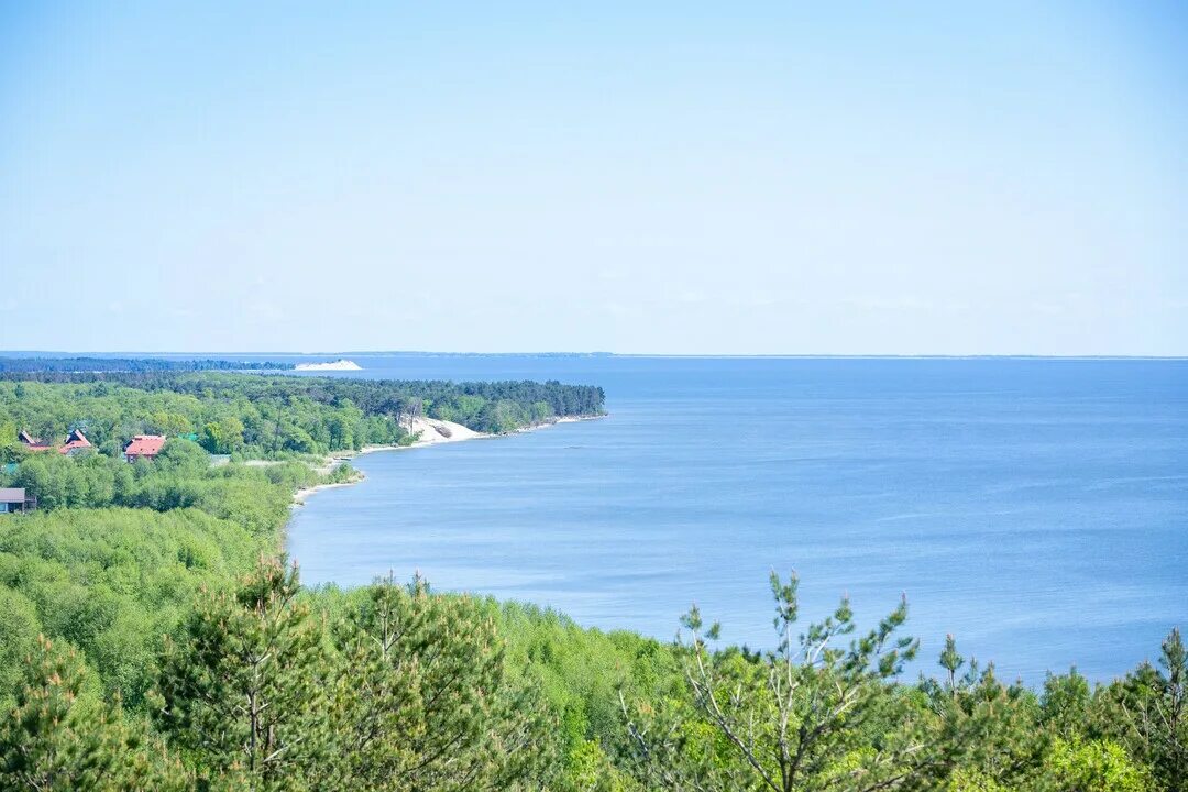 Куршская коса зеленогоад. Зеленоградск национальный парк куршская коса дюна эфа. Куршская коса национальный парк. Зеленоградск экскурсии на куршскую косу. Куршская коса калининград.