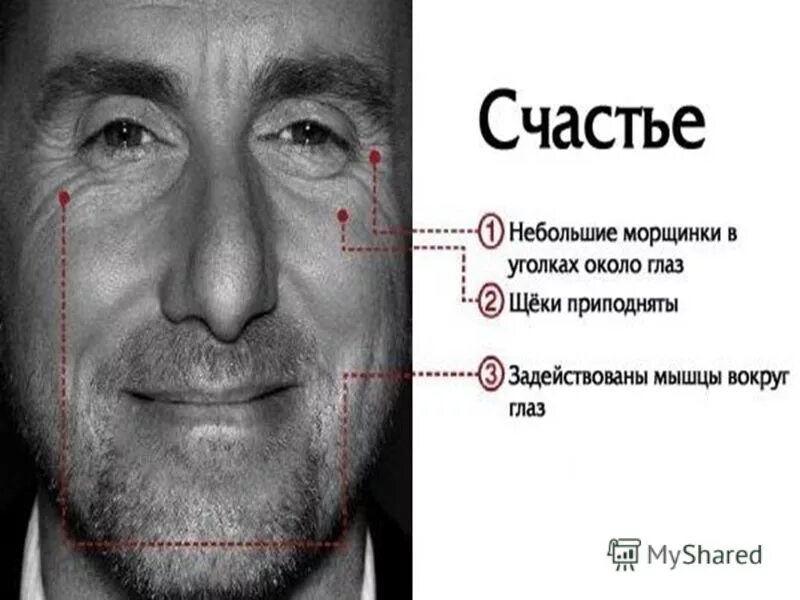 Что можно понять по мимике