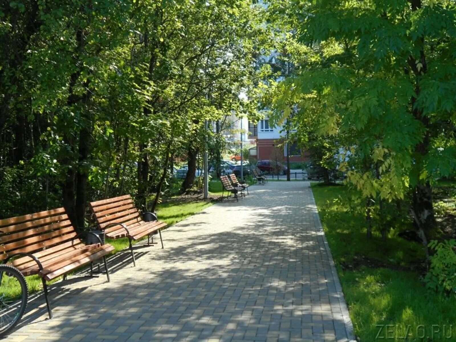 Зеленый парк зеленоград купить квартиру. Парк зеленый Бор в Зеленограде. Москва, парк зелёный Бор, Зеленоградский административный округ. Парк в 23 микрорайоне Зеленограда. Микрорайон зелёный Бор в Крюково.