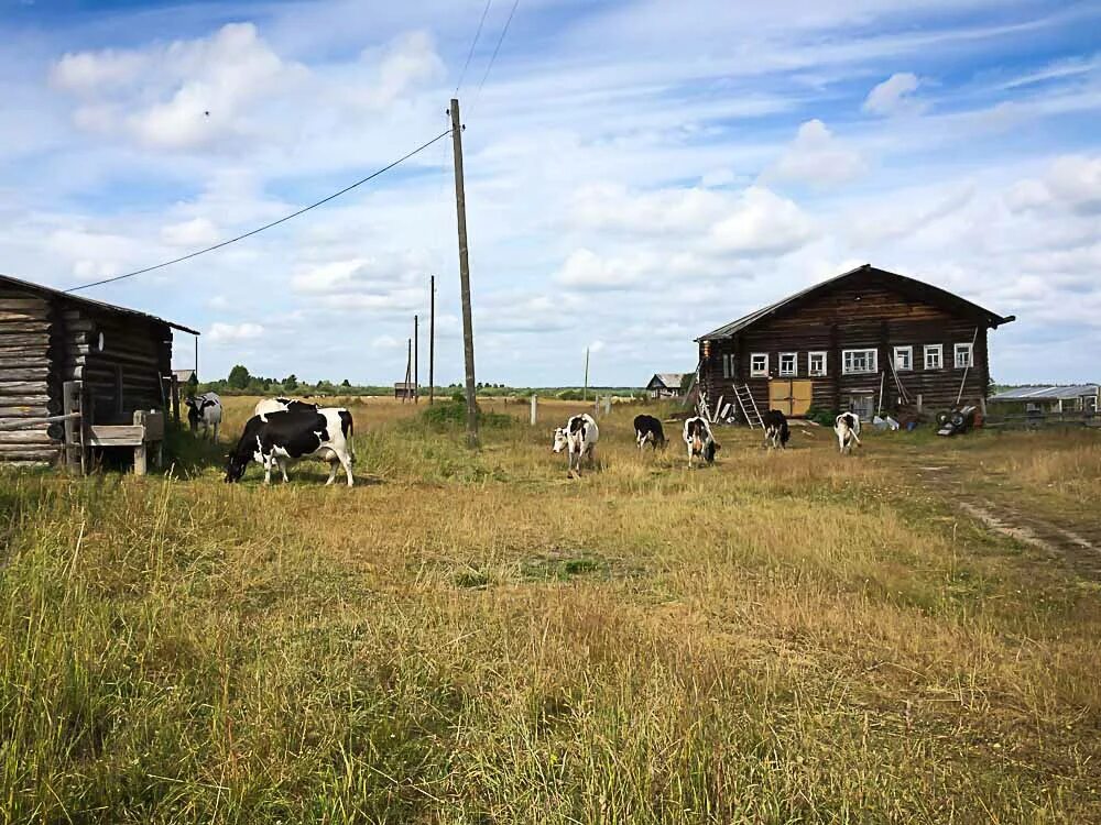 Погода в б н. Глубинка Коми поселок. Удора. Деревня Удоры Сыктывкара. Коми старые.