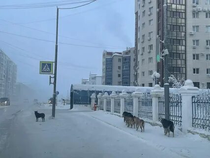 Покажи якутск покажи якутск