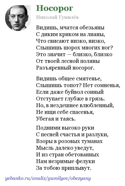 Анализ стихотворения гумилева. Стих носорог Гумилев. Стих н.с Гумилев носорог. Гумилев. Стихотворение носорог. Николай Гумилев видишь мчатся обезьяны.