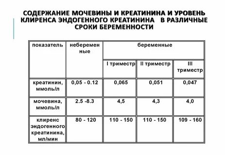 Причины высокого креатинина мочевины