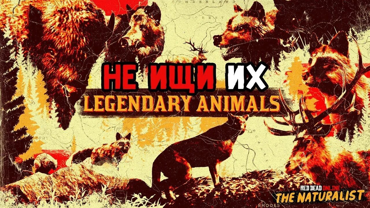 Legendary animal. Легендарные животные RDO. Легендарные животные РДО 2. Карта легендарных животных в РДО.