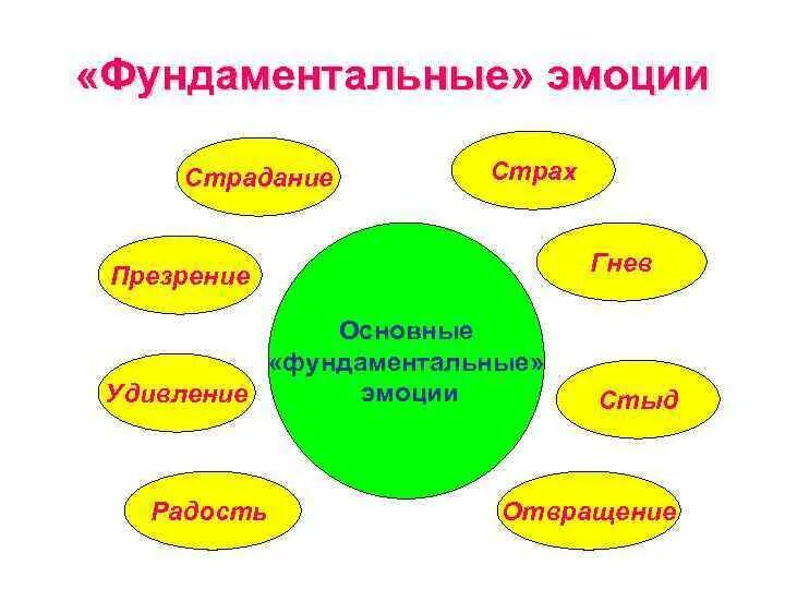 Эмоционально волевая сфера психолога. Сферы личности. волевая сфера личности. задания на эмоционально волевую сферу. кроссворд по теме эмоционально-волевая сфера личности.