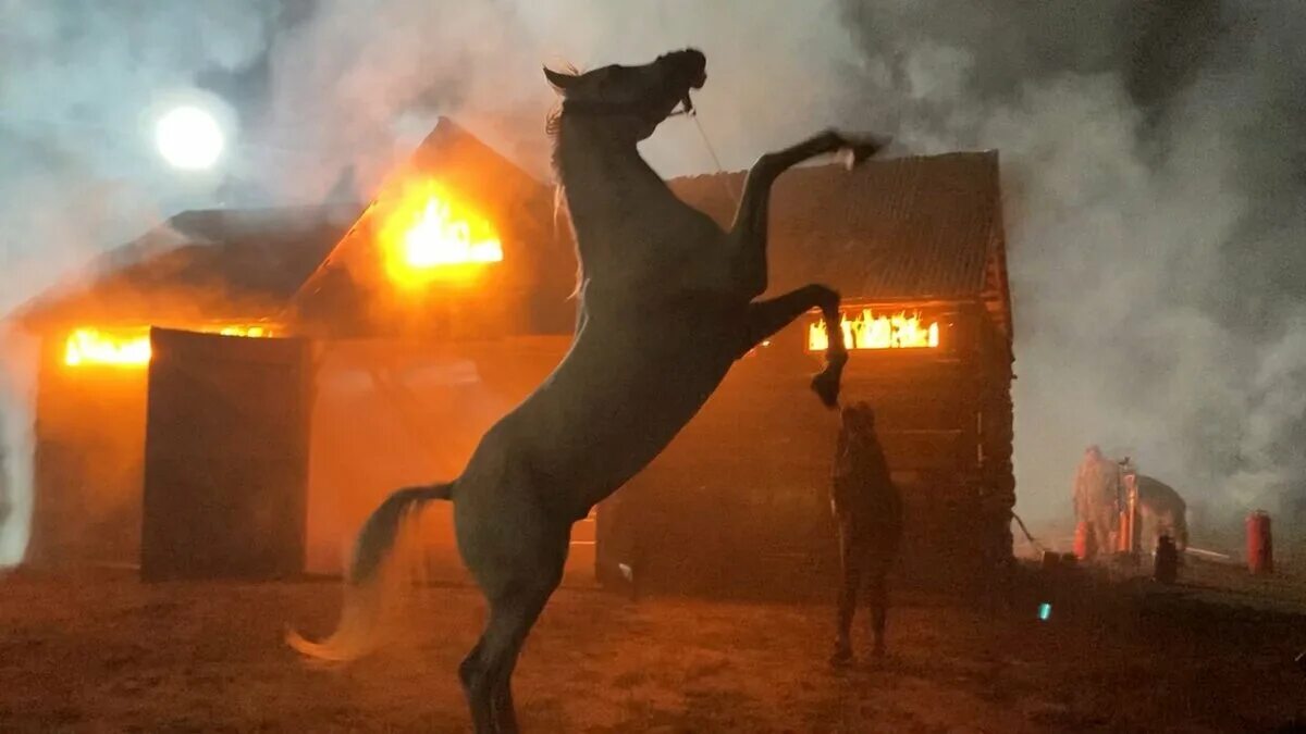 Сгорела конюшня в Новокузнецке. Горящая изба и конь. Пожар в конюшне