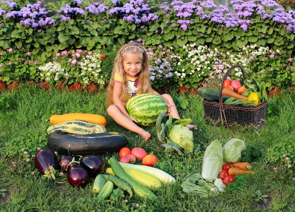 Огород урожай. Овощи на огороде. Овощи и фрукты с огорода. Сад с фруктами и овощами. На даче вырос