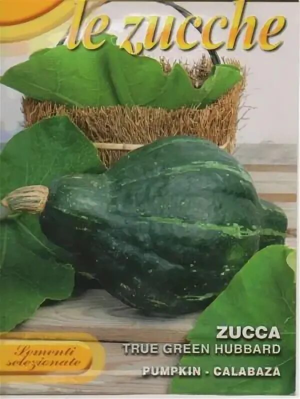 Натереть тыкву на терке. Тыква на терке. Тыква семена купить хаббард. Тыква тер. Натереть тыкву.