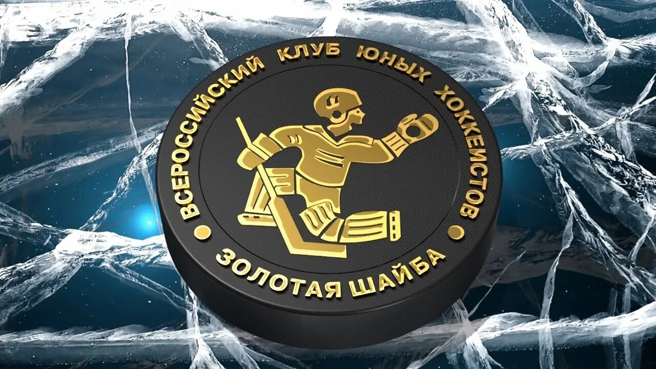 Турнир шайбы