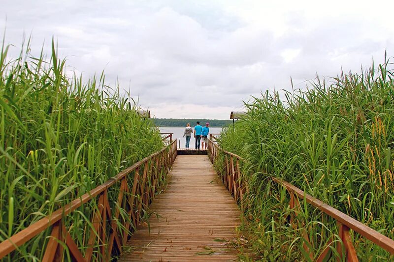 пудыши смоленская область гагаринский район. д пудыши гагаринского района смоленской области. деревня пудыши гагаринского района смоленской области. дом купить д. деревня пудыши смоленская область.