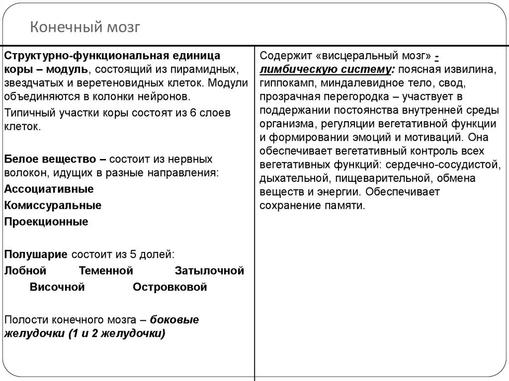 Конечный мозг строение и функции кратко. Строение конечного мозга таблица. Конечный мозг функции таблица. Конечный мозг строение и функции анатомия. Таблица отдел мозга особенности строения функции