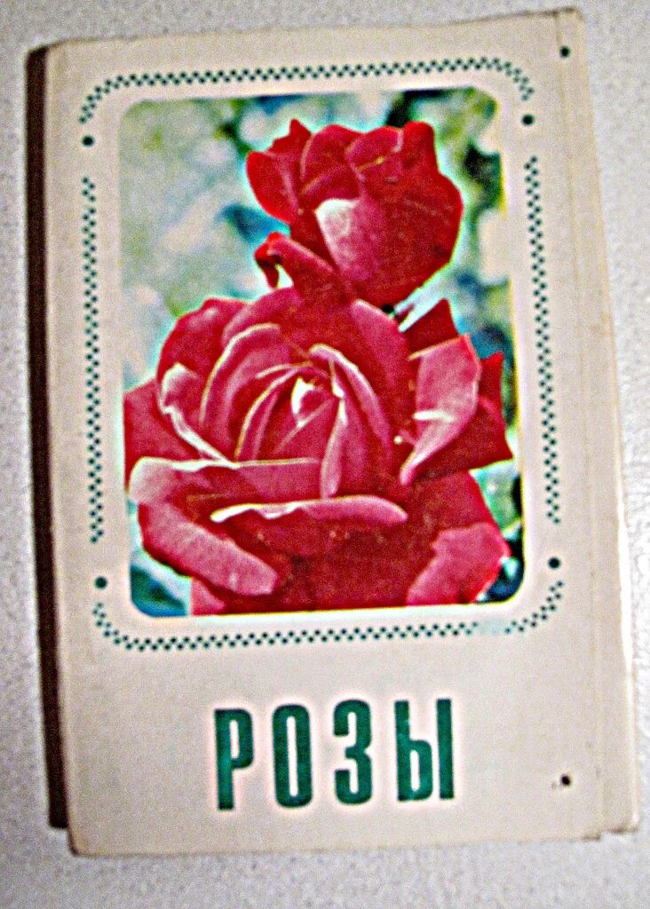 Советские открытки с розами. Набор открыток розы 1976. Наборы открыток СССР С розами 1973 год.