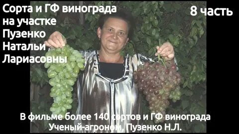 Виноград ученый