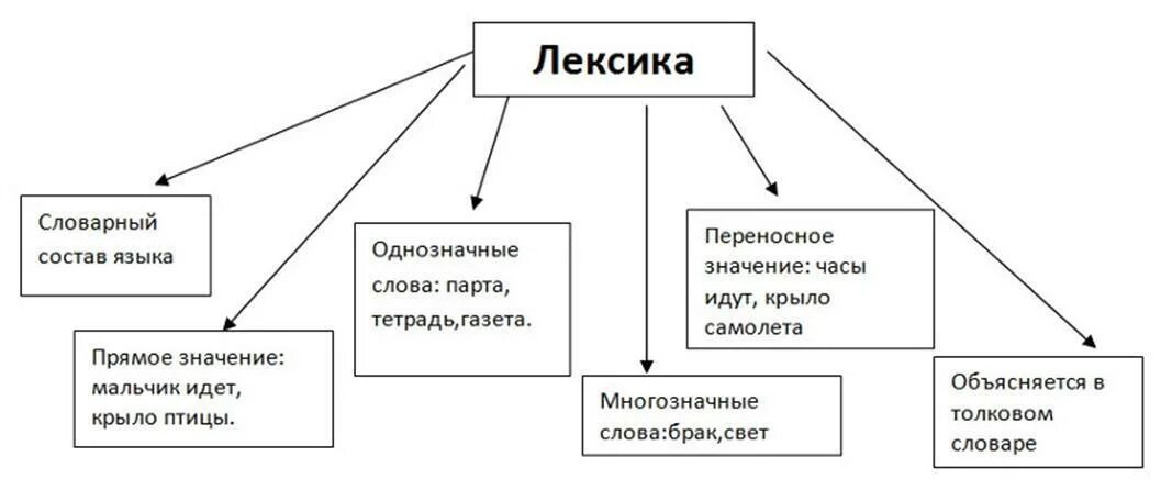 Схема лексикология (лексика) и фразеология. Схема лексика и фразеология русского языка. Схема по теме лексикология и фразеология. Лексика и фразеология 7 класс схема.