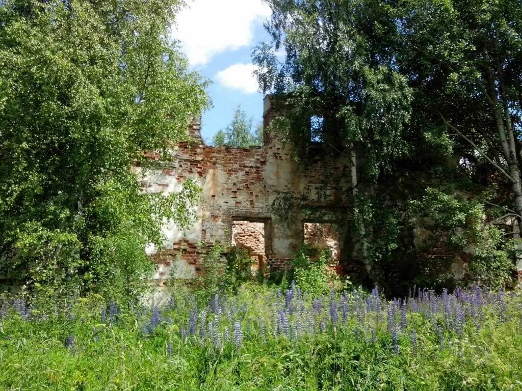 Погода никольское кадуйский. Кадуйский район Вологодской области. Деревня Шоборово Кадуйский район. Церковь Николая Чудотворца деревня Бор. Деревня Верховье Кадуйский район.