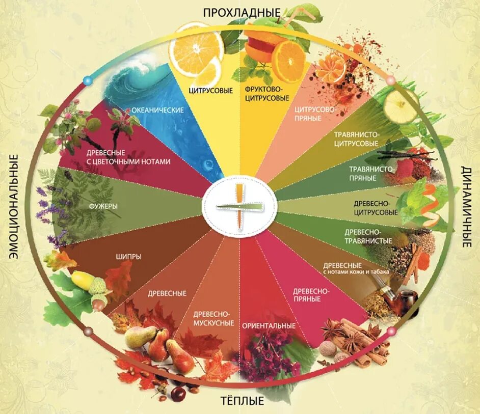 Классификация ароматов Майкла Эдвардса. Колесо ароматов Майкла Эдвардса. Семейства ароматов классификация. Классификация ароматов в парфюмерии. Фруктовые нотки