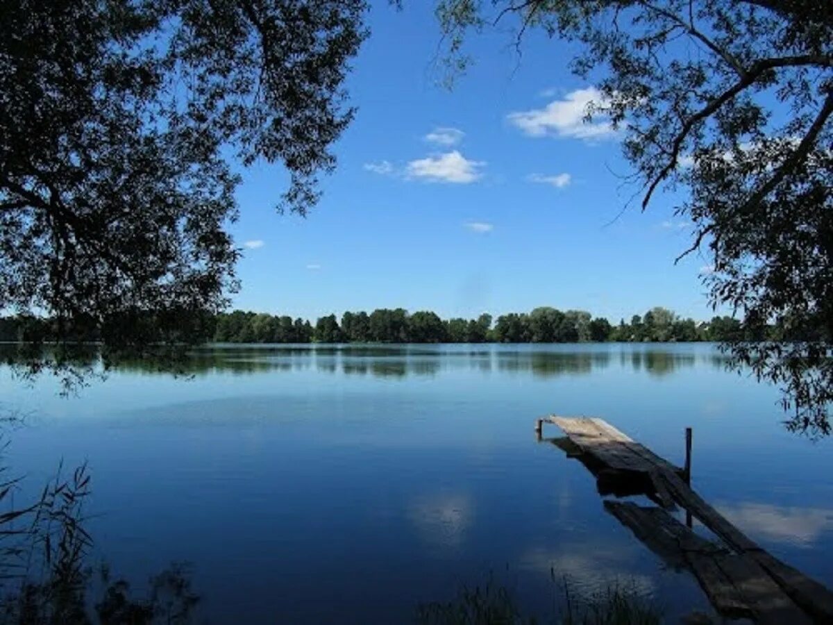 Села на озере