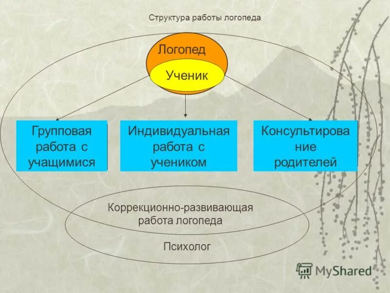 Структуру и деятельность отечественной логопедической службы. Этапы коррекционной работы логопеда. Требование к рабочей программе логопеда. Структура индивидуального занятия. Структура работы логопеда.