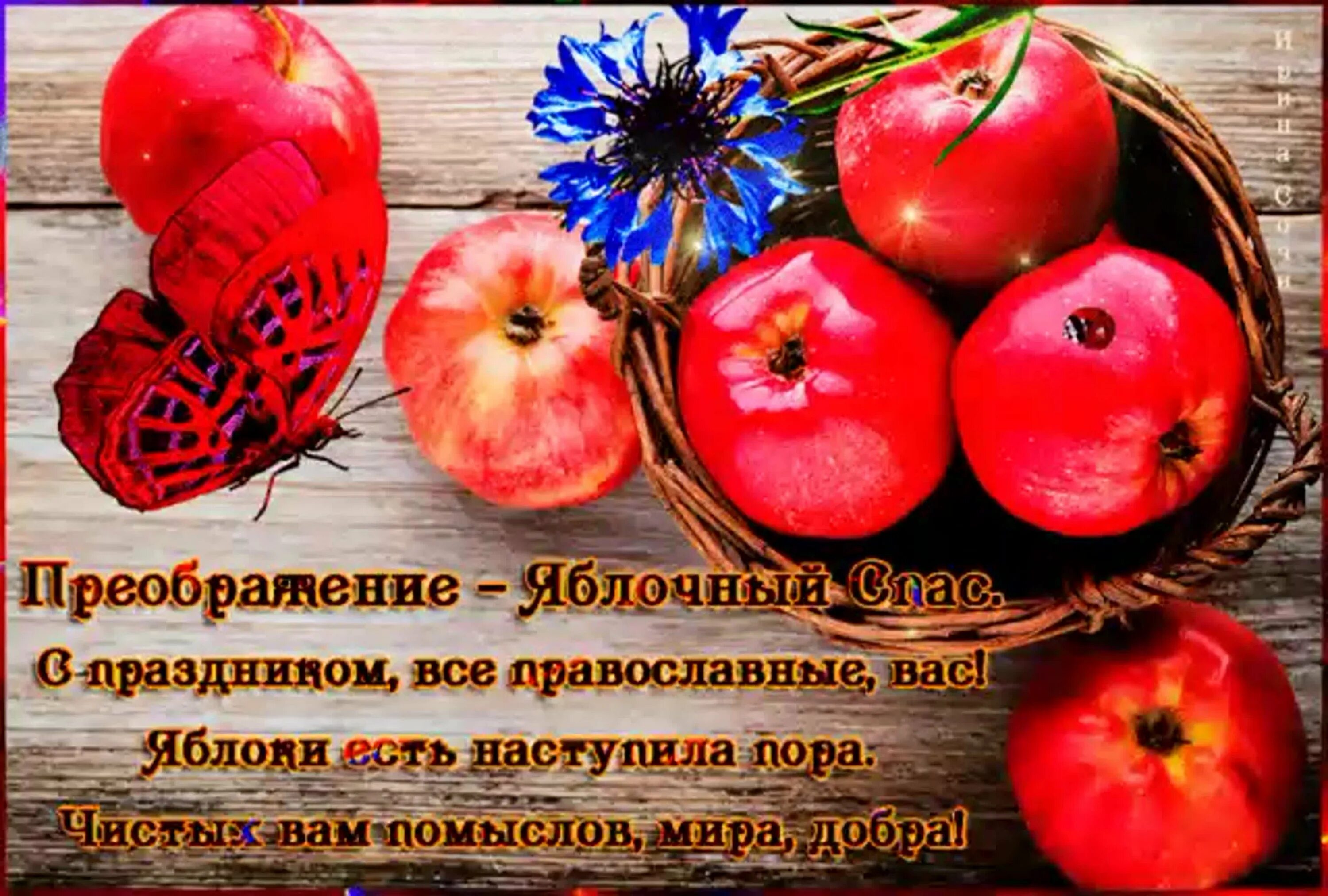 Яблочный спас почему яблоки. Яблочный спас. открытка яблочный спас с праздником. 19 августа яблочный спас картинки. с преображением господним и яблочным спасом.