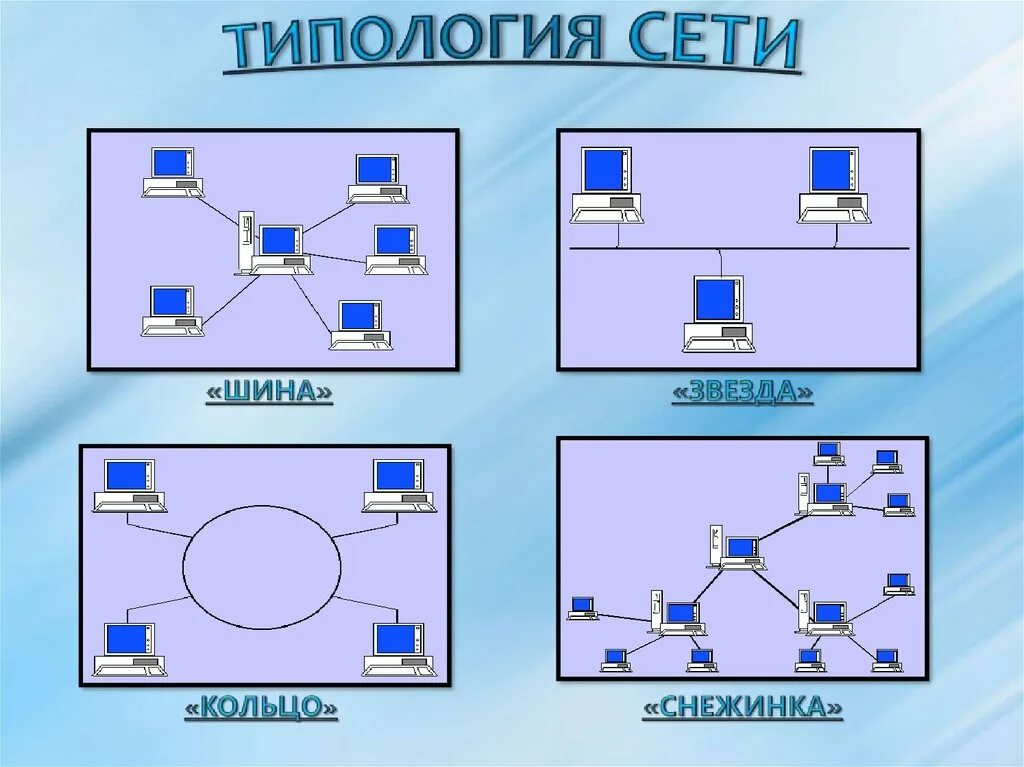 Network вид. Топология шина звезда кольцо. Типология локальной сети шина. Топология локальных сетей шина звезда кольцо. Типология локальных сетей.