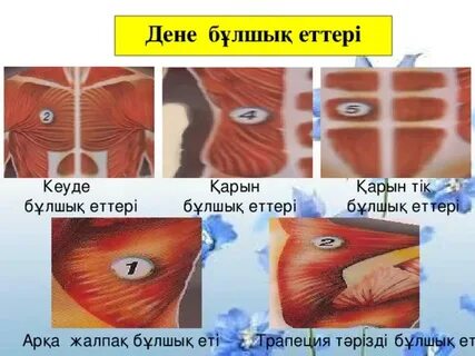 Бұлшық еттері бар жалаңаш жігіттер