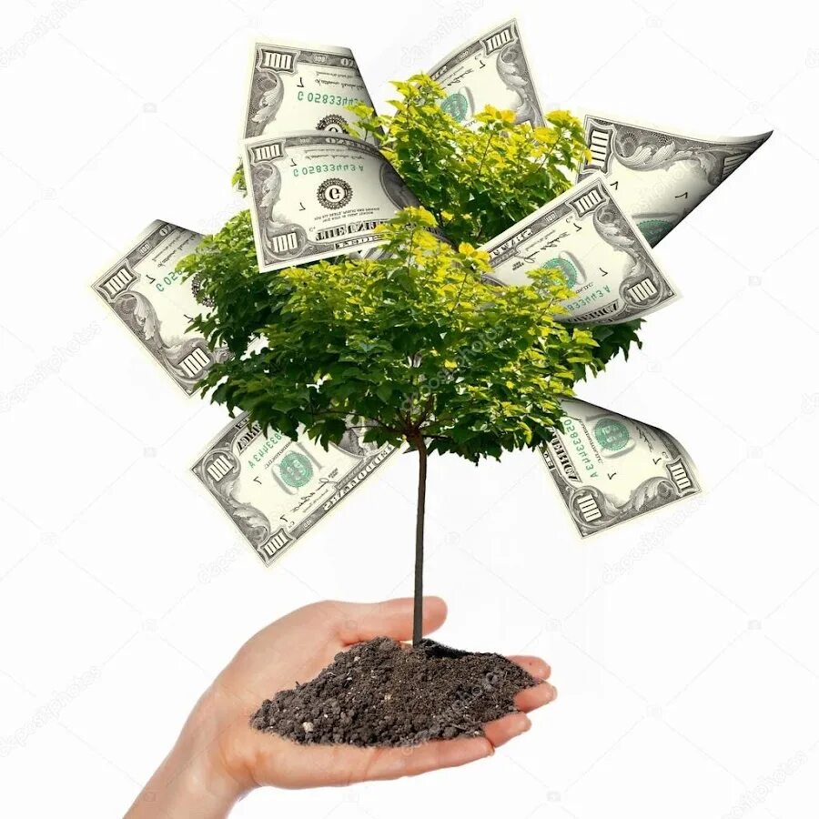 Мультяшные деревья. Кусты деньги. Кусты деньги. Денежное дерево с деньгами. Дерево с купюрами.