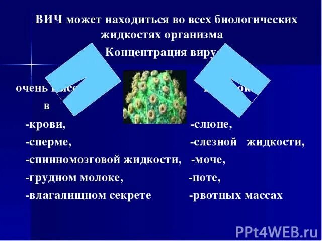 Вич концентрация. Концентрация ВИЧ В биологических жидкостях. Концентрация вируса ВИЧ В биологических жидкостях. Содержание ВИЧ В биологических жидкостях. Концентрация ВИЧ В биологических жидкостях цифры.