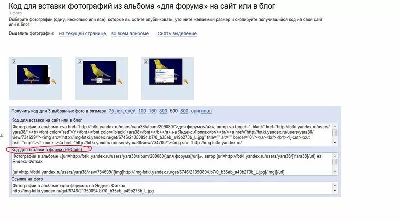 как добавить фото на форум