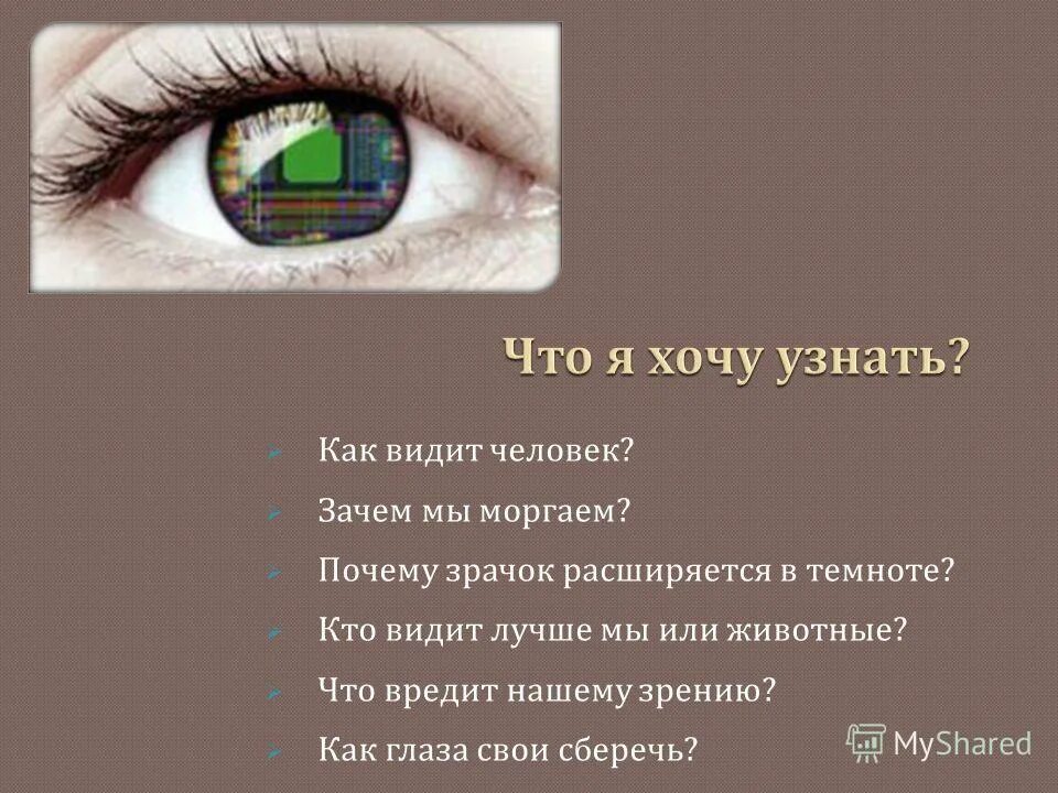 Нормальные зрачки и расширенные. Зрачок человека расширяется. Нормальный зрачок и расширенный. Почему зрачок расширяется в темноте. Зрачки в темноте и на свету.