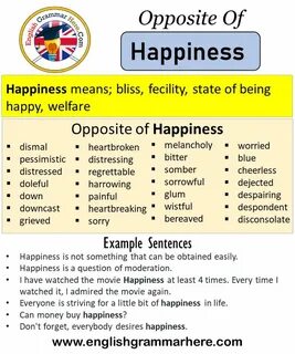 The opposite of happy is