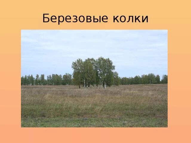 Колок что значит