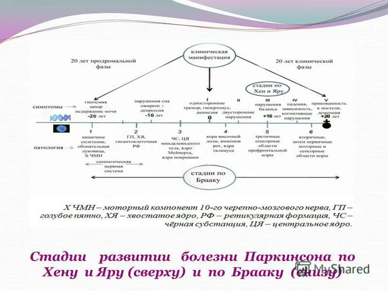 Паркинсон 2 стадия по хен яру. Паркинсон 2 стадия по хен яру. Паркинсон 2 стадия по хен яру. Паркинсон 2 стадия по хен яру. Паркинсон 2 стадия по хен яру.