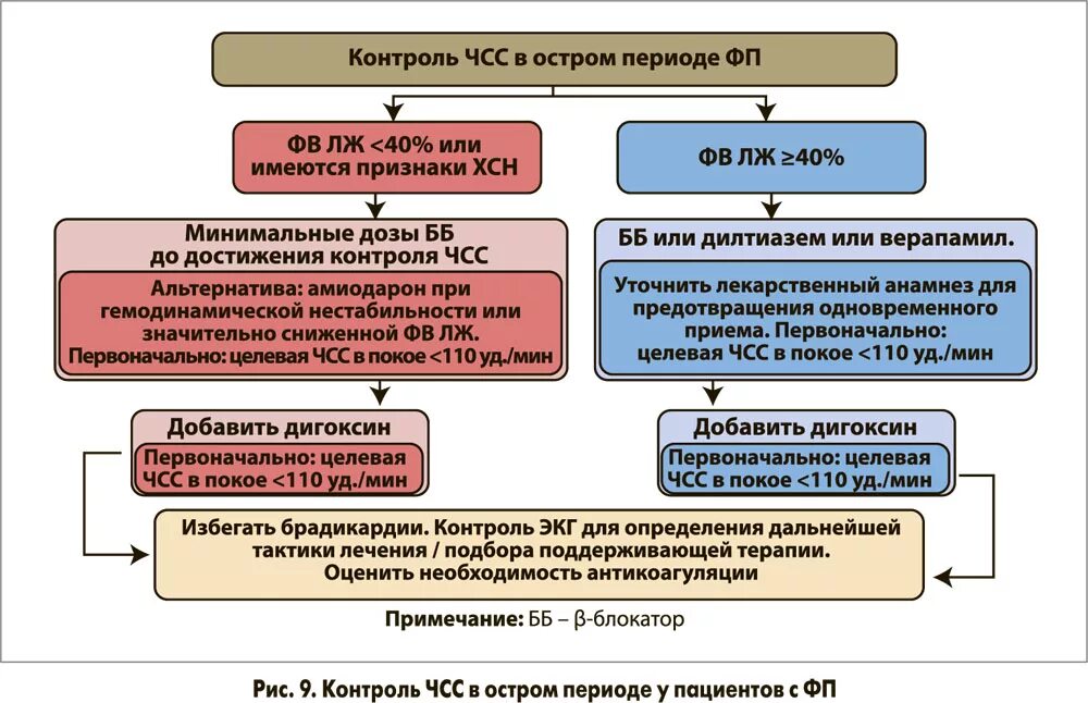 Фибрилляция предсердий 2025. Контроль частоты сердечных сокращений. целевая чсс при фибрилляции предсердий. контроль чсс при фибрилляции. фибрилляция предсердий контроль частоты.