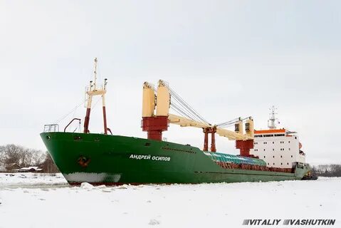 Андрея судам