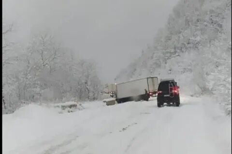 На 10 дней дальнегорск