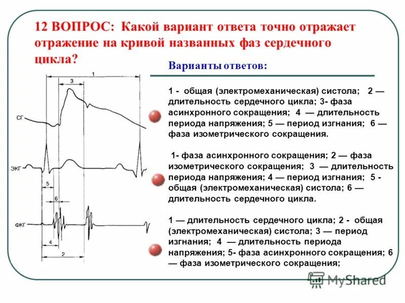 фаза изометрического сокращения желудочков. сердечный цикл асинхронное сокращение. фаза изометрического сокращения желудочков. давление в левом желудочке. фаза синхронного сокращения желудочков.