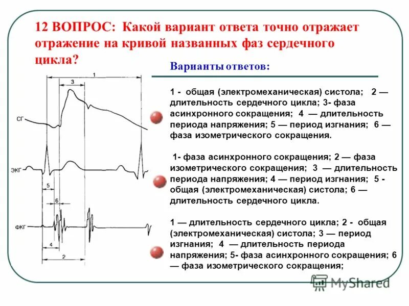 При учащении пульса длительность сердечного цикла. Сердечный цикл фаза асинхронного сокращения. Фаза асинхронного сокращения желудочков. Фаза изометрического сокращения желудочков.