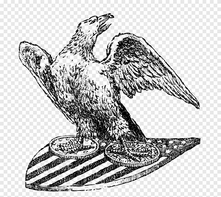 На каком гербе изображен сокол. Орел рисунок. Сокол иллюстрация. Графическое изображение Сокола. Стилизованное изображение Сокола.
