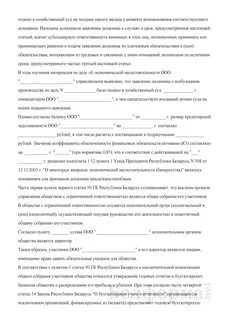 Заявление о привлечении к субсидиарной