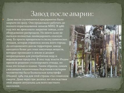 31 декабря 1984 год