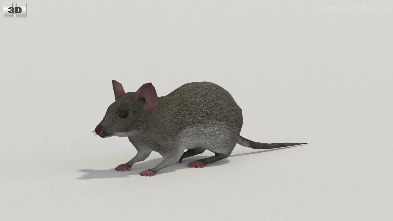 3 часть 3 мышей. Мышь модель. Мышь 3d модель. Мышка для 3д моделирования. Мышиная модель.