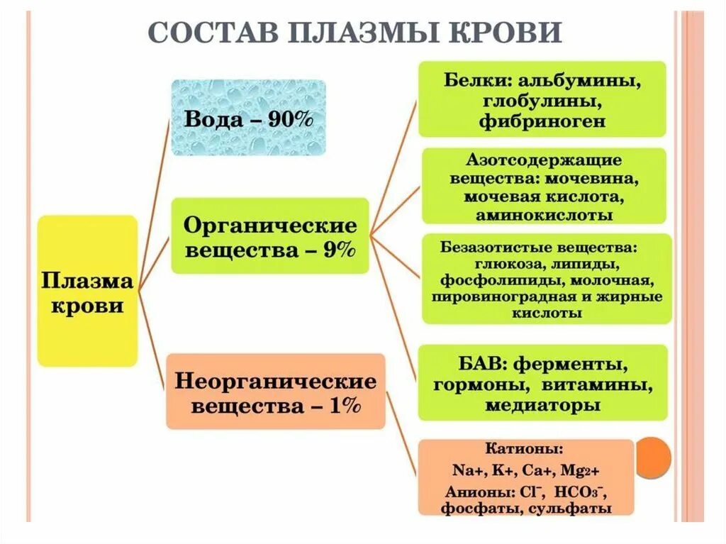 Каков состав плазмы крови. Состав плазмы крови человека схема. Охарактеризуйте химический состав плазмы крови. Состав плазмы крови схема.