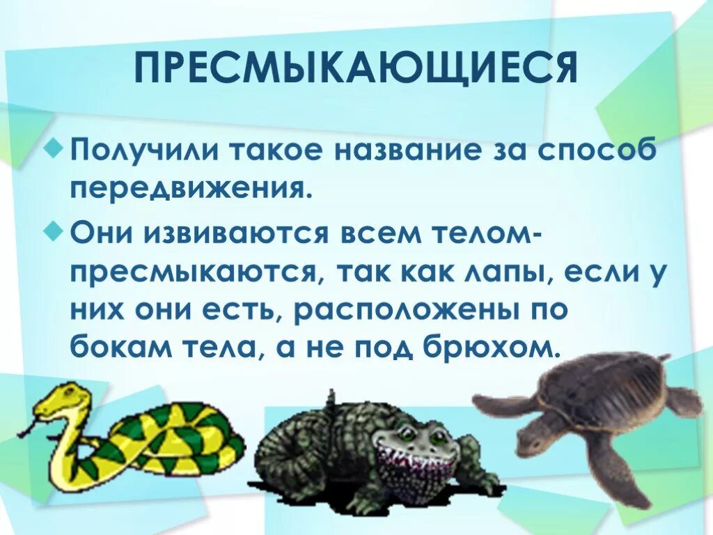 Пресмыкающиеся для дошкольников. Пресмыкающиеся и земноводные для дошкольников. Рептилии для дошкольников. Пресмыкающиеся задания.