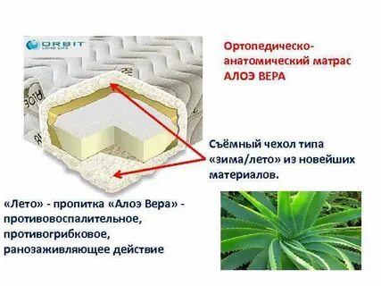 Алоэ ткани